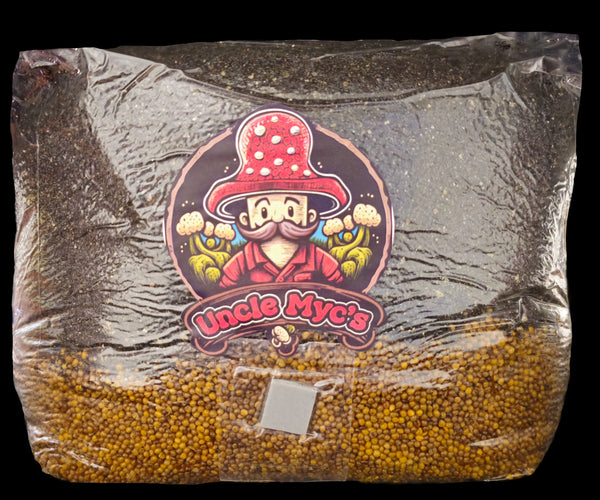 50/50 Grain & Bulk 100 Sterilized AllInOne Mushroom Spawn Bag (7lb