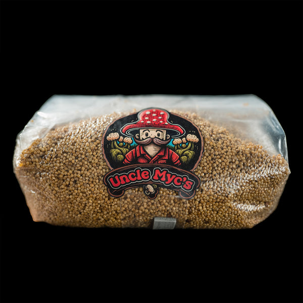 Millet Grain 100 Sterilized Mushroom Spawn Bag (4lb.) Uncle Myc's