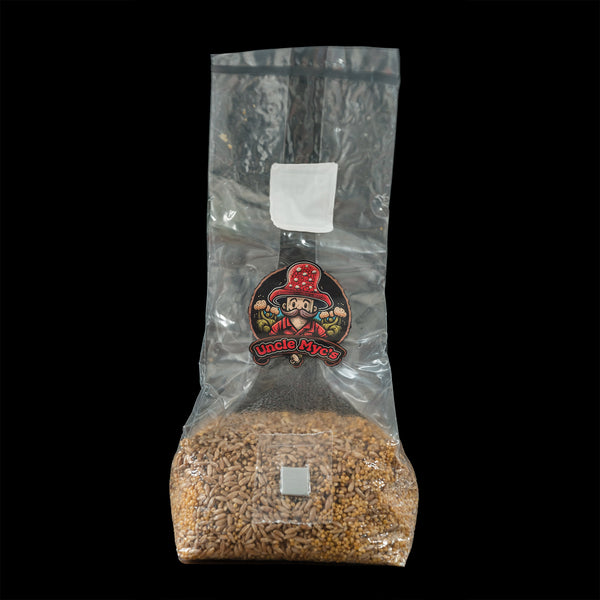 60/40 Rye Berry & Millet Grain Mix 100 Sterilized Mushroom Spawn Bag