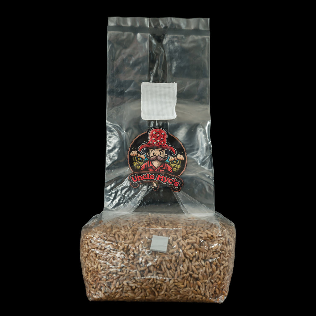 Ten 2.5lb & 3lb Rye Berry Grain Mushroom Grow Bags With Injection Port - Handmade