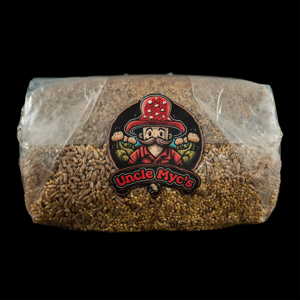 60/40 Rye Berry & Millet Grain Mix 100 Sterilized Mushroom Spawn Bag