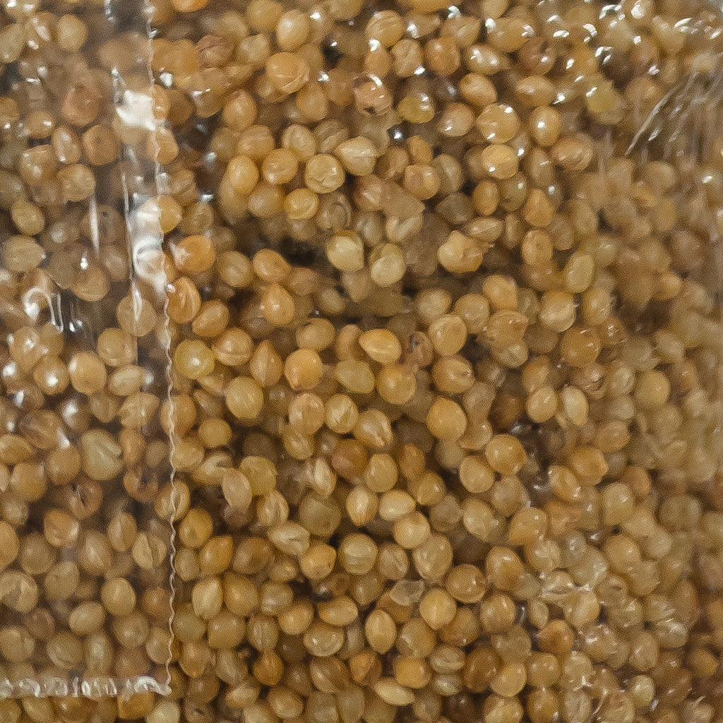 Buy 3lb Sterilized Grain Mushroom Bag With Injection Port Online in India   Etsy